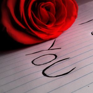 Rosa Roja y Tú