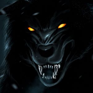 Lobo Negro Feroz