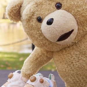 Teddy Bear Adorable con Zapatillas