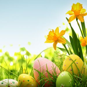 Huevos de Pascua y Flores