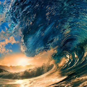 Ola Oceánica Majestuosa