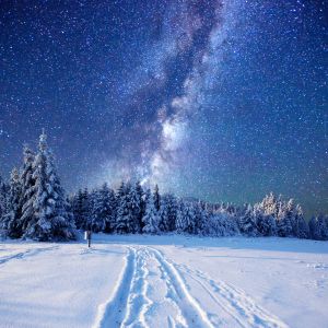 Noche Estrellada Sobre Bosque Nevado