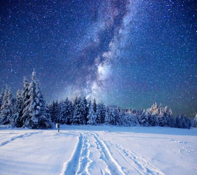 Noche Estrellada Sobre Bosque Nevado