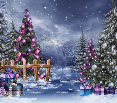 Maravilla Invernal de Navidad
