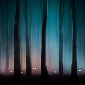 Bosque Misterioso con Ojos Brillantes