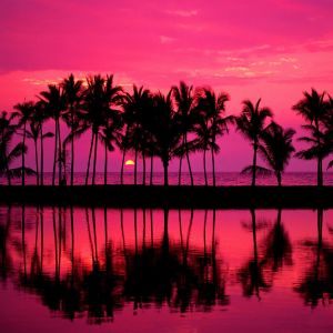 Atardecer Tropical