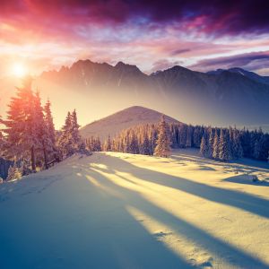 Impresionante Paisaje Invernal