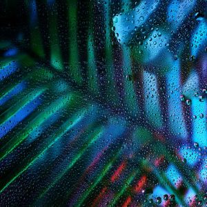 Hojas Tropicales Vibrantes