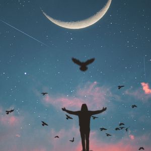 Silueta Contra el Cielo Estrellado