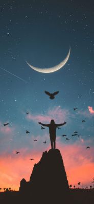 Silueta Contra el Cielo Estrellado