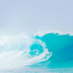 Hermosa Onda del Océano